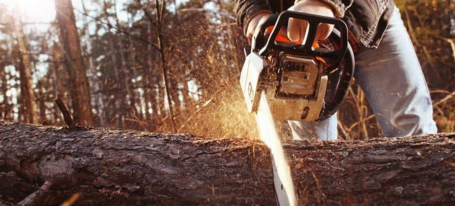 Link Resources chainsaw level 2 training worker cutting large log with chainsaw in forest