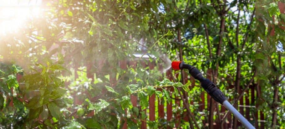 Link Resources weed and seed certificate training worker spraying weeds in outdoor vegetation area